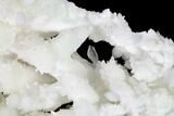 Sparkling Cave Calcite (Aragonite) Formation - Potosi Mine, Mexico #154063-2